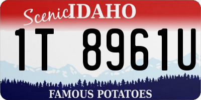 ID license plate 1T8961U