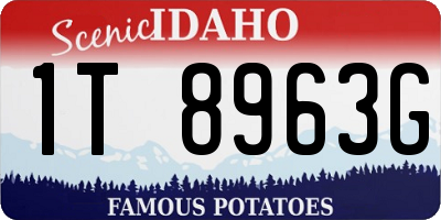 ID license plate 1T8963G