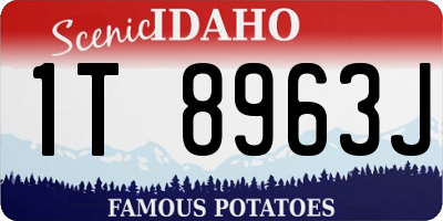 ID license plate 1T8963J