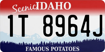 ID license plate 1T8964J