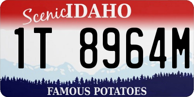 ID license plate 1T8964M