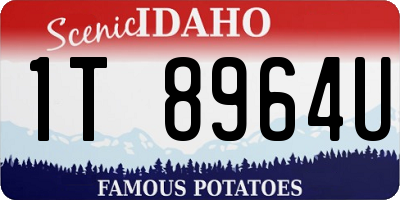 ID license plate 1T8964U
