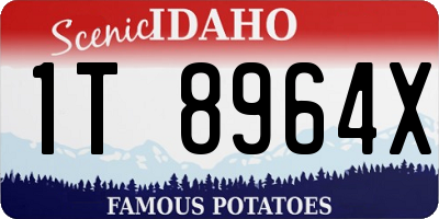ID license plate 1T8964X