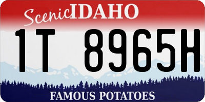 ID license plate 1T8965H