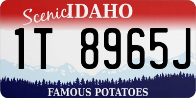 ID license plate 1T8965J