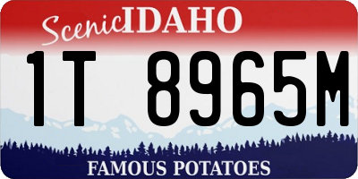 ID license plate 1T8965M