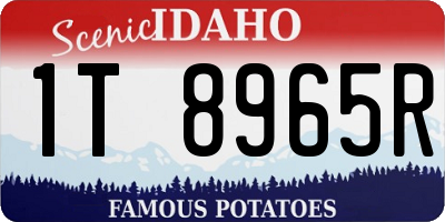 ID license plate 1T8965R