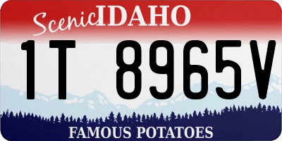 ID license plate 1T8965V