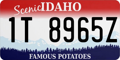 ID license plate 1T8965Z