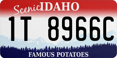 ID license plate 1T8966C