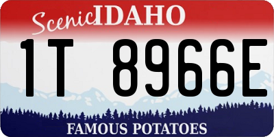 ID license plate 1T8966E