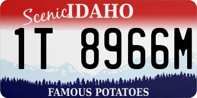 ID license plate 1T8966M