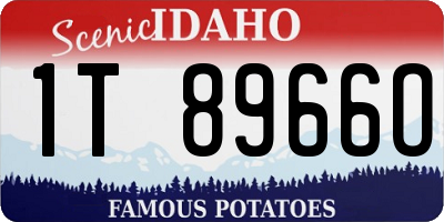 ID license plate 1T8966O