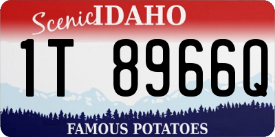 ID license plate 1T8966Q