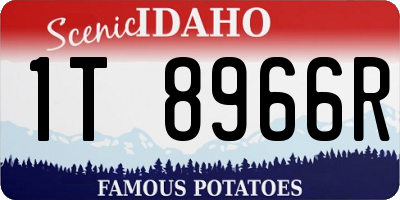ID license plate 1T8966R