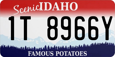 ID license plate 1T8966Y