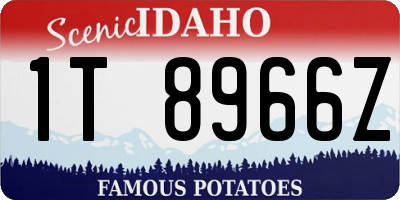 ID license plate 1T8966Z