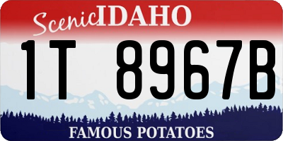ID license plate 1T8967B