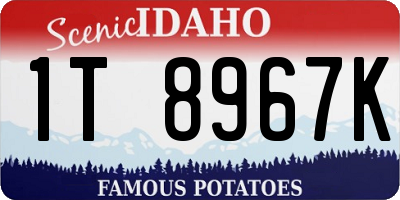 ID license plate 1T8967K