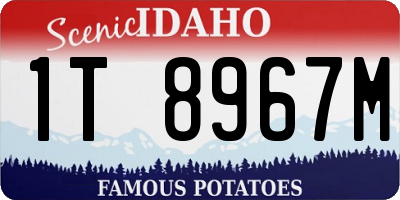 ID license plate 1T8967M