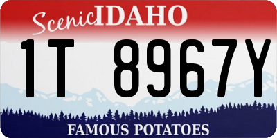 ID license plate 1T8967Y