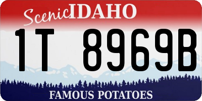 ID license plate 1T8969B