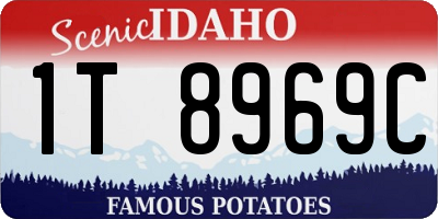 ID license plate 1T8969C