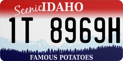 ID license plate 1T8969H
