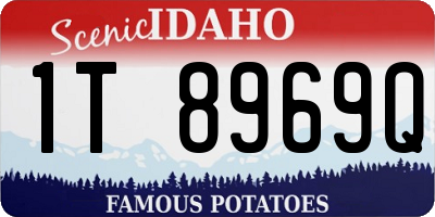 ID license plate 1T8969Q