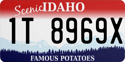 ID license plate 1T8969X