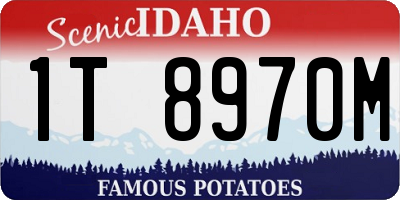 ID license plate 1T8970M