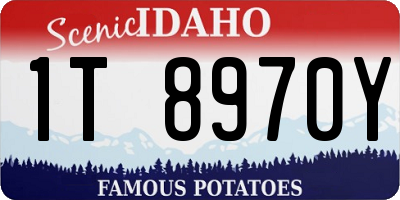 ID license plate 1T8970Y