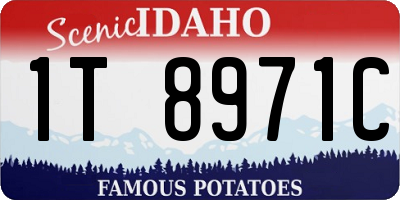 ID license plate 1T8971C