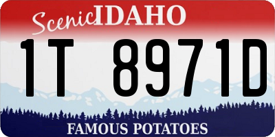 ID license plate 1T8971D