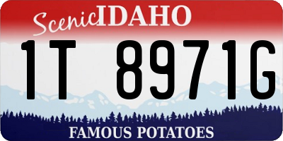 ID license plate 1T8971G