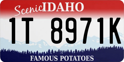 ID license plate 1T8971K