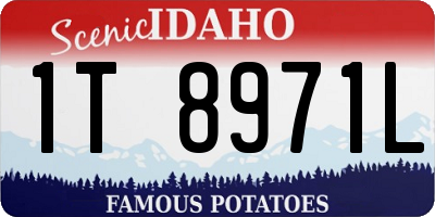 ID license plate 1T8971L