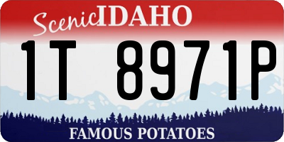 ID license plate 1T8971P