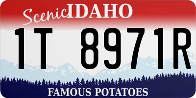 ID license plate 1T8971R