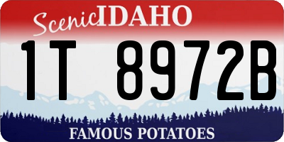 ID license plate 1T8972B