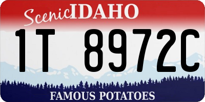 ID license plate 1T8972C