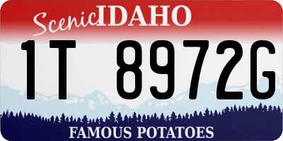 ID license plate 1T8972G