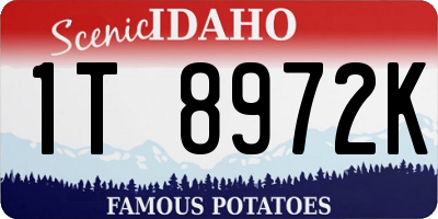 ID license plate 1T8972K