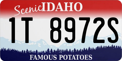 ID license plate 1T8972S