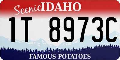 ID license plate 1T8973C