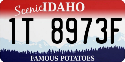 ID license plate 1T8973F