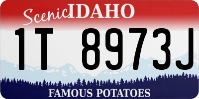 ID license plate 1T8973J