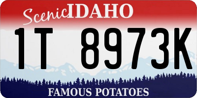ID license plate 1T8973K