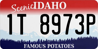 ID license plate 1T8973P