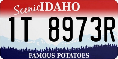 ID license plate 1T8973R